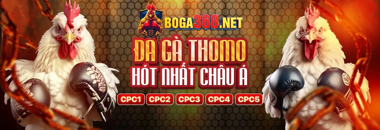 Tiêu chuẩn đánh giá uy tín của một nền tảng cá cược trực tuyến